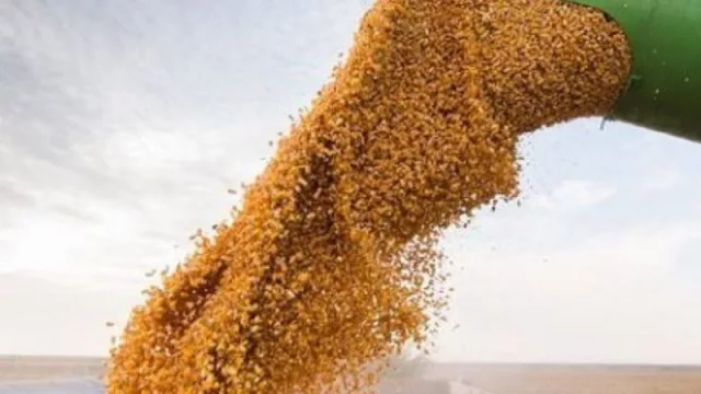 Agrotoken llega a Uruguay (y ya es un éxito en Argentina y Brasil)