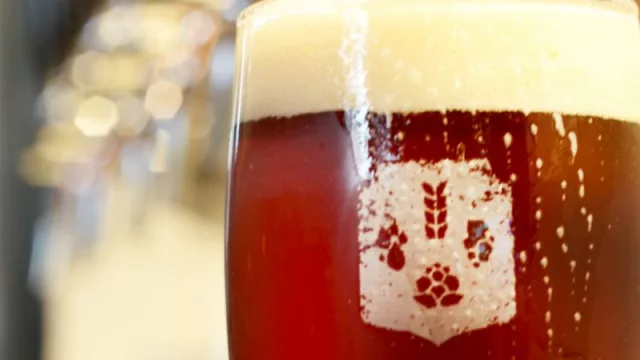 Se escucha un vals en la chopería (Mastra cumple 15 años a toda espuma artesanal)