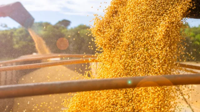Los altos rindes de la soja siguen empujando el PIB al alza