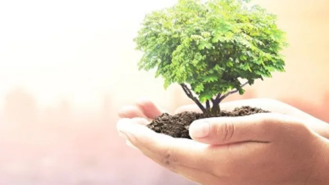 Itaú Uruguay otorgó más de US$ 160 millones de crédito para proyectos de impacto positivo