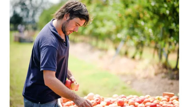 Goodlife y su fruta mundialista (certificada por norma Global GAP)