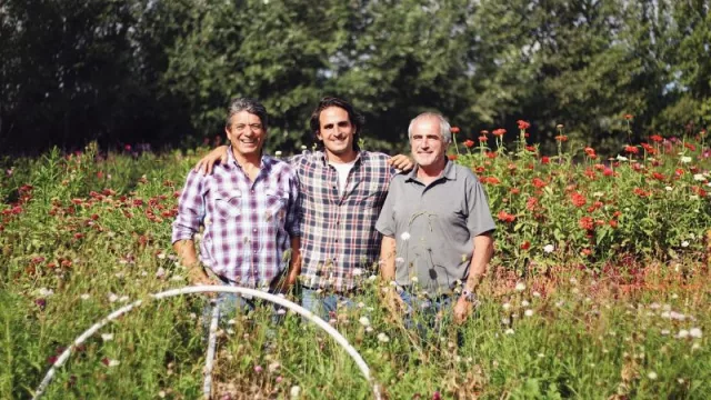 De una granja avícola a un espectacular cultivo de flores: el proyecto de Campo de Flores