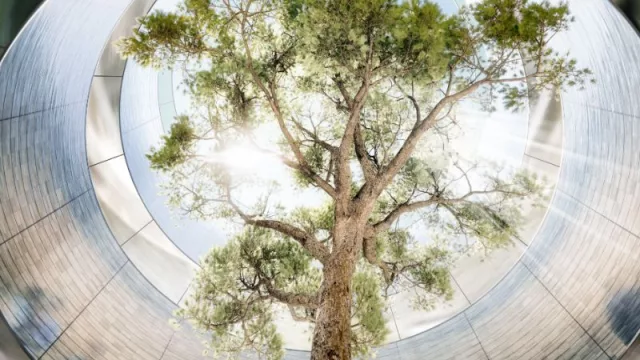 En 2023 comienza a construirse The Edge (primera obra del Estudio Foster + Partners en Uruguay, y Ponce de León Architects)