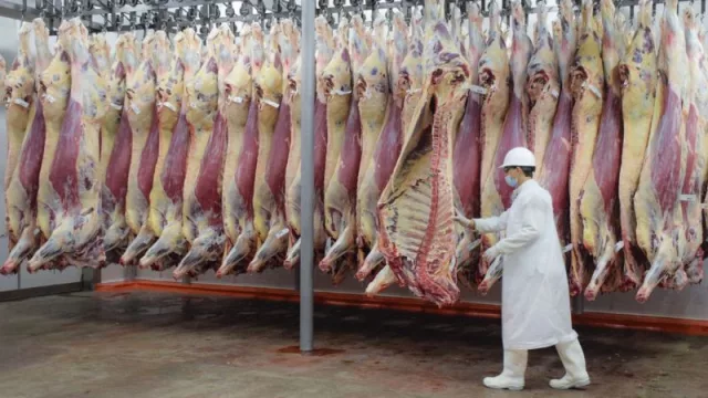 Un banco que banca la faena (BROU y grupo inversor AR reabren Frigorífico Florida)