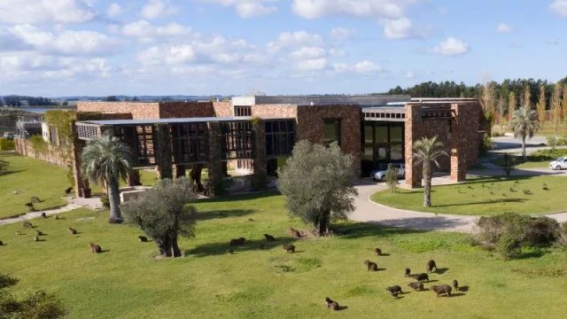 ¿Delicado, armonioso, vibrante o único? ¿Tenes dudas de cuál elegir?