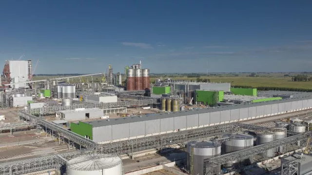 Arrolla la celulosa de UPM Paso de los Toros  (y se viene la puesta en marcha)