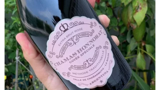 9 vinos sensacionales para descubrir este 2023 (algunos ya están en Paraguay)