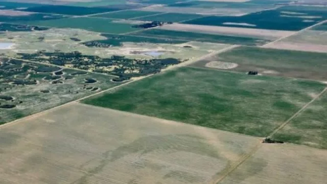 Ya son 22 los Messi en todo el país (12 están en Córdoba): el más grande del mundo en Huinca Renancó