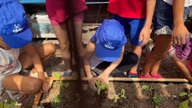 En vacaciones también se aprende (Unilever vuelve a participar Programa Educativo de Verano)