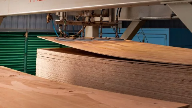 Lumin invertirá US$ 136 millones en una nueva planta de plywood en Uruguay (ampliando producción a casi 500 mil m3)