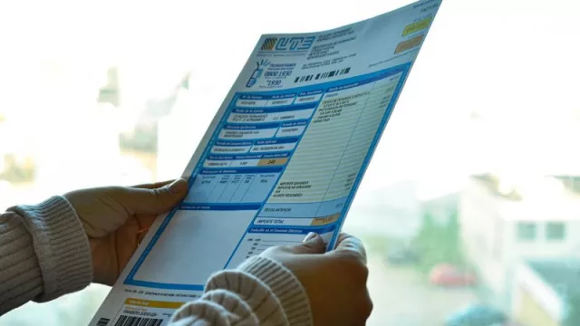 ¿Está de acuerdo en que UTE comience a ofrecer, a partir del 1° de abril, un sistema de 12 cuotas fijas para pagar la luz?