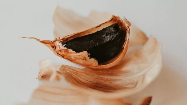 Un quinto sabor producido en UY (el delicado trabajo de Ramé y su ajo negro)