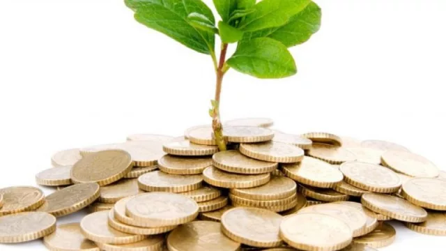 Fondos Centenario suma Gestión Dólares a su familia