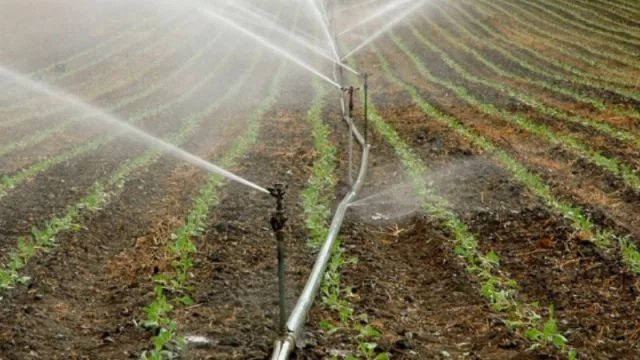 Una herramienta para saber cuánto regar (y ahorrar hasta un 25% de agua)