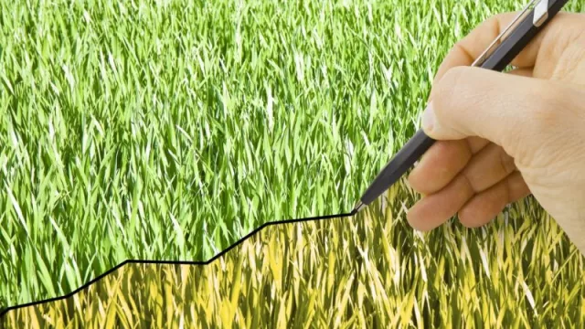 Hay que mirar hacia adelante (Gletir presentó estrategias ante incertidumbre del sector agropecuario)