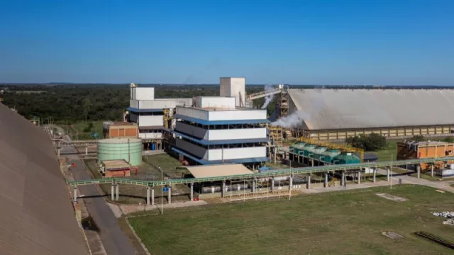 Cappro: “Producción ociosa de industrias argentinas aumentará demanda de soja paraguaya”