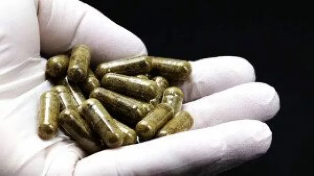 Por qué cada vez más personas se inoculan microbiota intestinal (de qué se trata el trasplante de materia fecal)