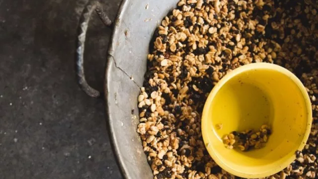 Alsea y World Visión México lanzan convocatoria para la segunda edición del Premio Alsea (enfocado en alimentación y nutrición)