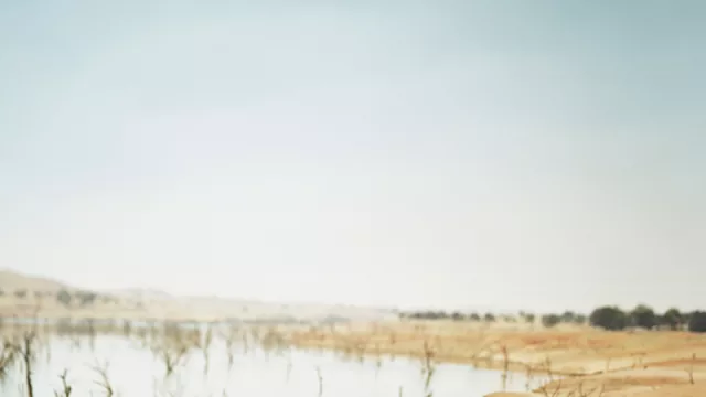 Las expectativas están en el consumo privado