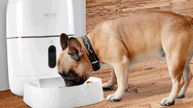 Mirá quién se encarga ahora de la comida de la Lola y el Rocky (llegó el dispenser inteligente)