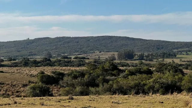 Grupo chileno invertirá US$ 20 millones en Garzón y Maldonado (chacras, barrios privados y campos para agricultura y ganadería orientados a mercado europeo)