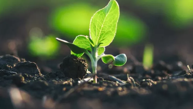 Timac AGRO fue reconocida como una de las mejores 25 empresas para trabajar (por GPTW en Uruguay)