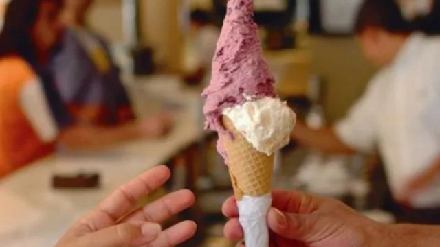 Freddo se despertó y quiere más locales en Uruguay (¿Cuánto cuesta hacerse con la franquicia?)