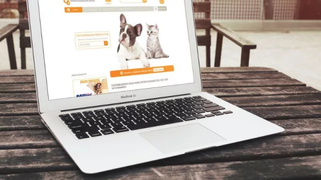 Para mascotas en línea (alianza de Fenicio y Boehringer Ingelheim promueve e-commerce veterinario)