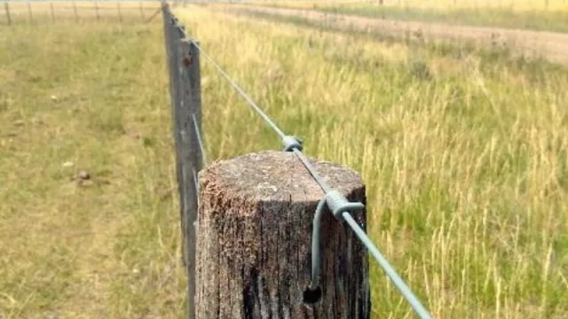 Cada uno con su alambrado (en 2022 la compraventa de tierras en UY creció 26% y superó los US$ 1.000 millones)