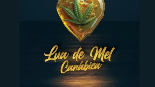 Luna de miel, pero voladora (WeedTour y sus tours exclusivos)