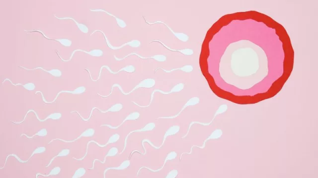 Criopreservación, un proceso disponible para quienes desean postergar el momento de ser padres