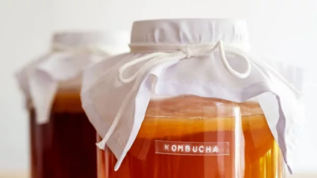 Kombucha: una bebida fermentada que gana adeptos alrededor del mundo