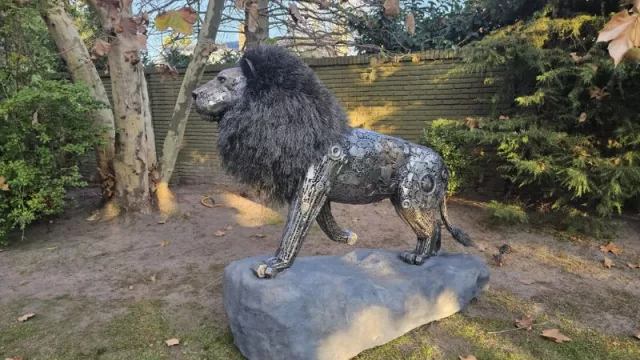 León para Alejandro Curcio