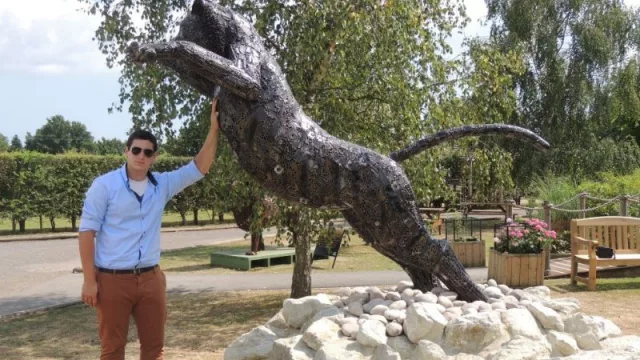 Tigre para un zoológico de Inglaterra