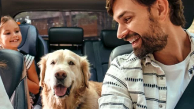 ¿Alquiler de autos entre particulares? (sí, llega TripWip, el Airbnb de los vehículos)