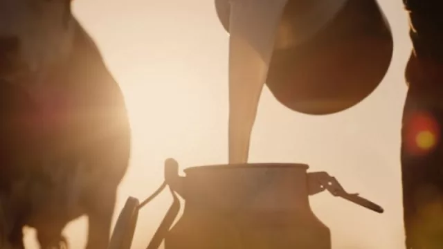 ¡Señora vaca, señora vaca! (remisión de leche a planta volvió a crecer)