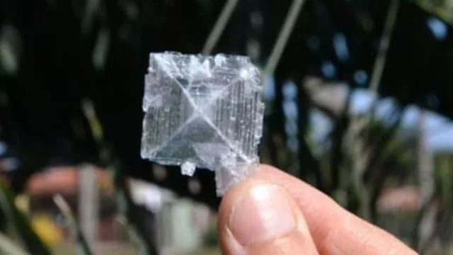 La producción de sal marina ya no es un proyecto (es un negocio que busca inversores)