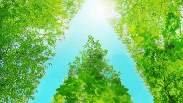 BBVA presenta su primer Reporte de Sostenibilidad (de 2022 y exclusivo de Uruguay)