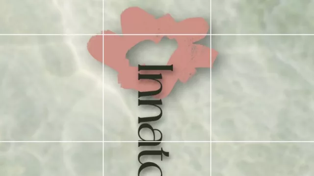 Nueva apertura by Sofia Muñoz