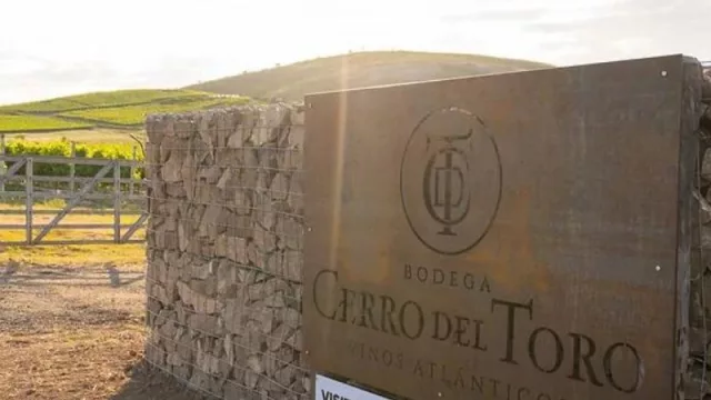 Hay Cerro del Toro en las góndolas de todo el país (Soldo Hnos. se encarga)