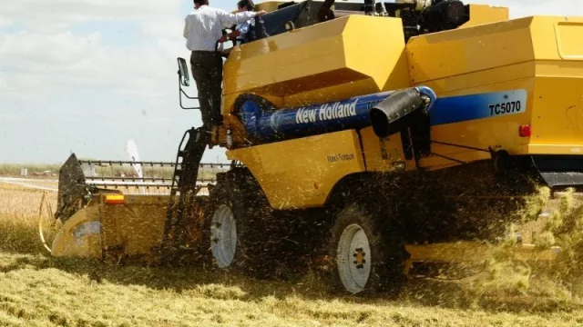 India se relajó y Saman aceleró las ventas de arroz (lleva más de US$ 180 Millones exportados)