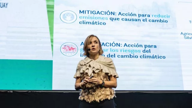 Hay una oportunidad de billones y trillones de dólares para ser más sostenibles, según experta en finanzas climáticas