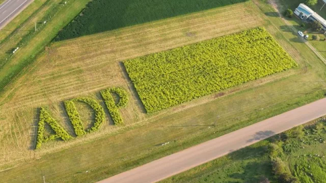 Para estar cerca de uno de los motores de la economía (llega nueva edición de ADP ZONE)