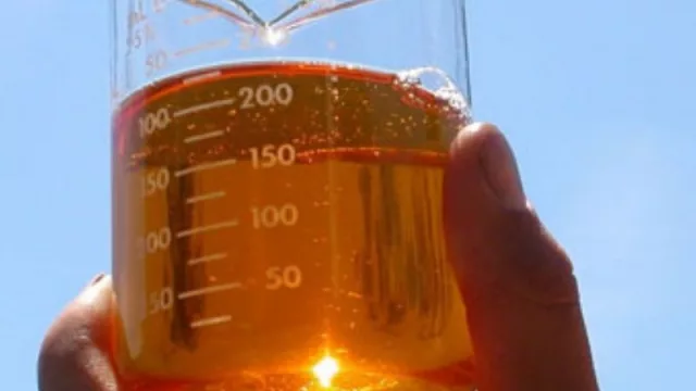 ¡EPA! ALUR se frota las manos para vender Biodiésel a Estados Unidos