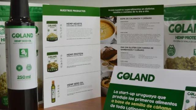 Dos uruguayos estuvieron cinco años creando una agroindustria nueva y ahora salieron a comerse el mercado (con cañamo de protagonista)