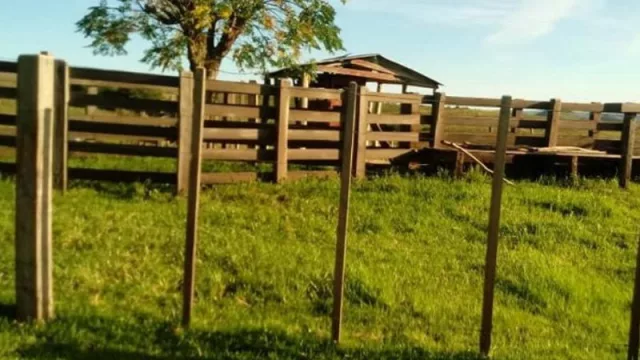 Arrendamientos de campos crecieron un 8% en 2022 (el monto de operaciones superó los US$ 146 millones)