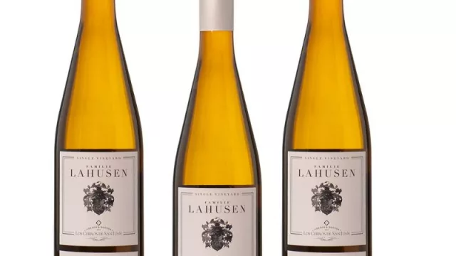 Con el sabor de Galicia en un terroir UY (Los Cerros de San Juan lanzó su Lahusen Albariño)