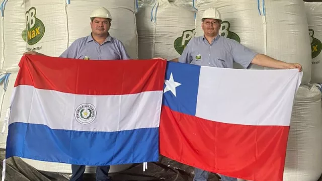 Probal hace historia: primera exportación de alimentos para producción animal a Chile