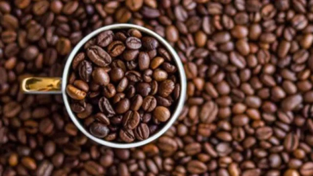 El potencial de UY como hub para la industria de alimentos (buscando inversiones en Frankfurt)