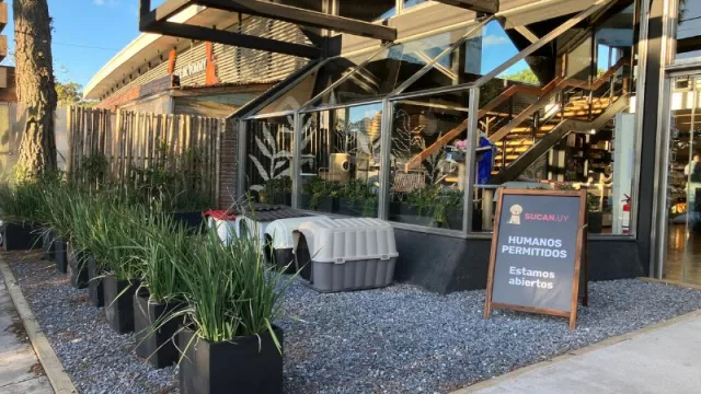 2023 el año del perro